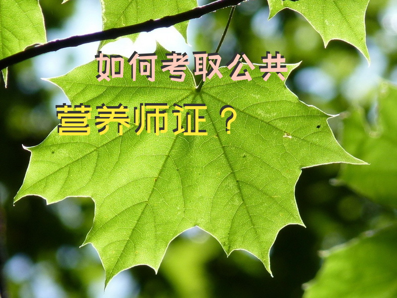 如何考取公共营养师证？