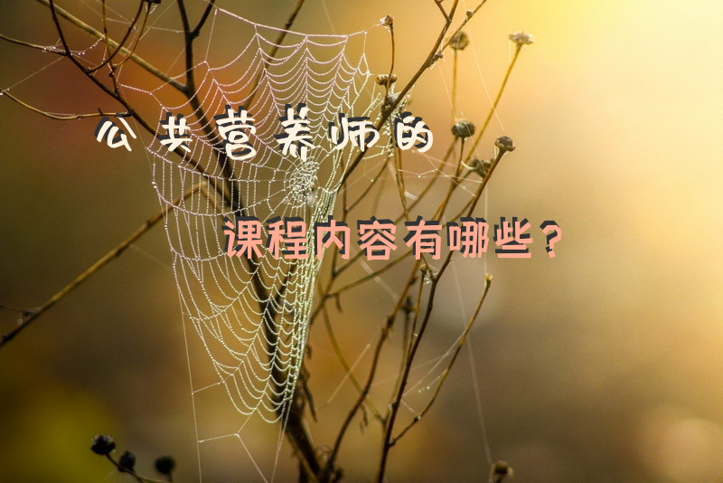 公共营养师的课程内容有哪些？