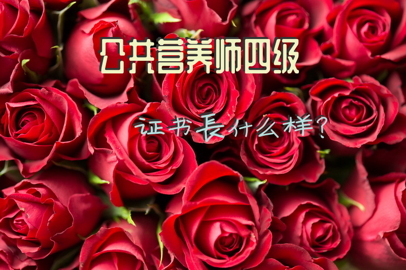 公共营养师四级证书长什么样？