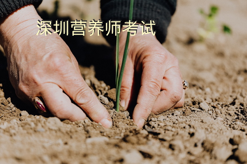 深圳营养师 考试