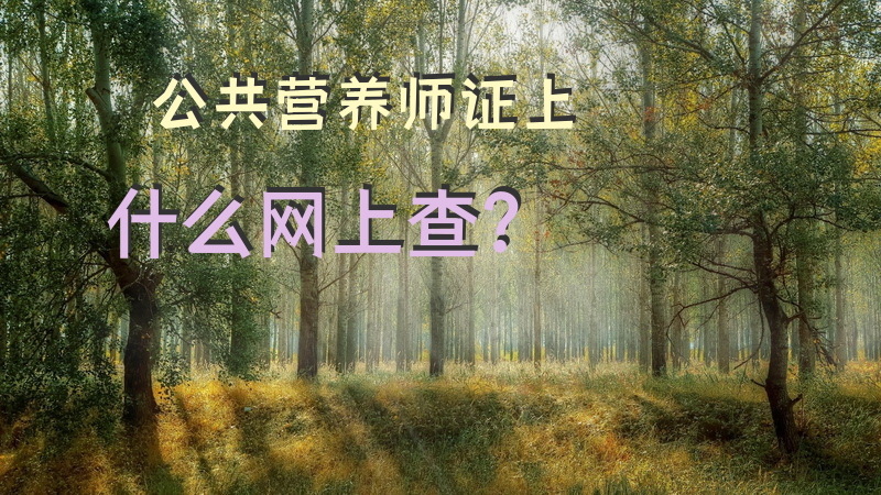 公共营养师证上什么网上查？