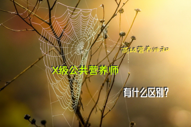 人社厅发的公共营养师证有用吗？