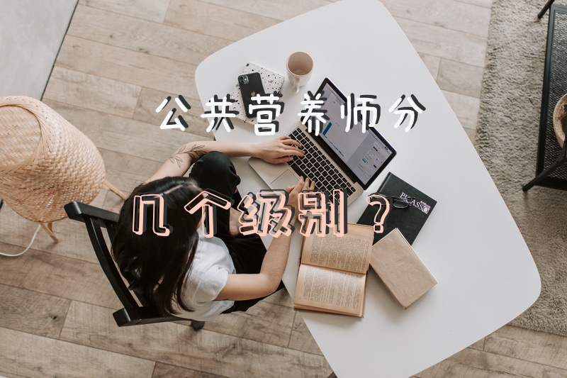 公共营养师分几个级别？
