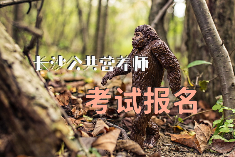长沙公共营养师考试报名我想考个营养师，长沙哪家机构比较好，需要交通方便的地方