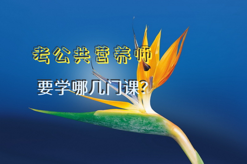 考公共营养师要学哪几门课？