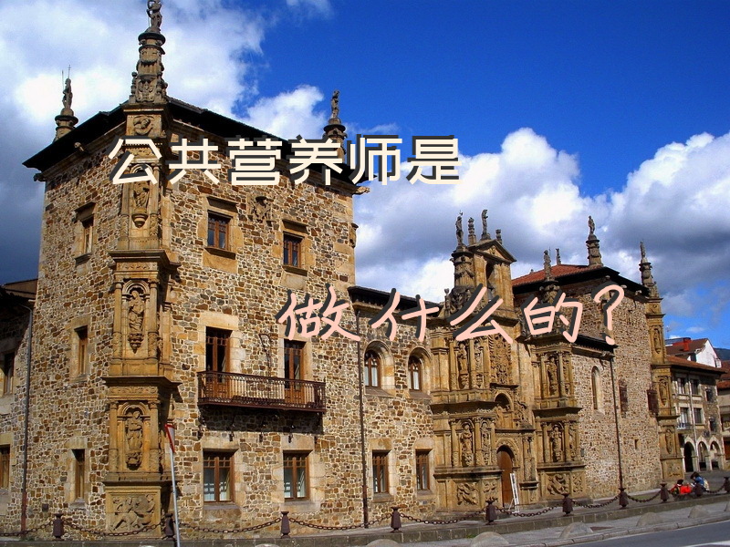 公共营养师是做什么的？