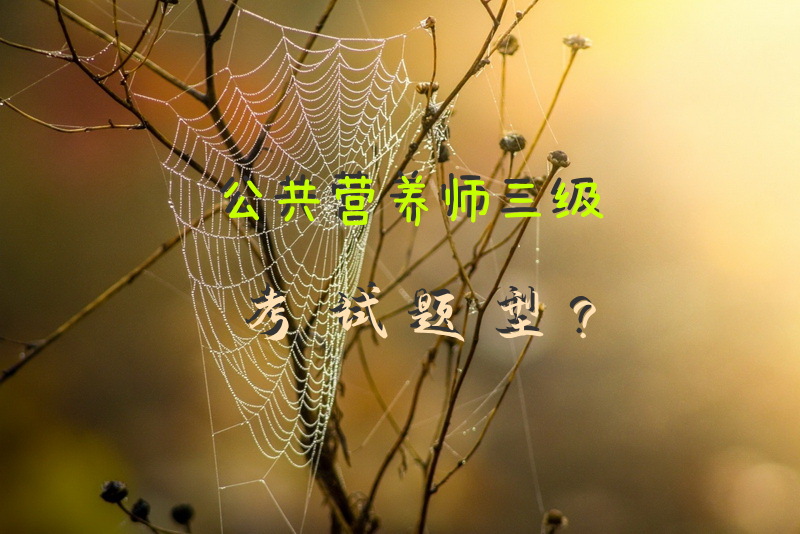 公共营养师三级考试题型？
