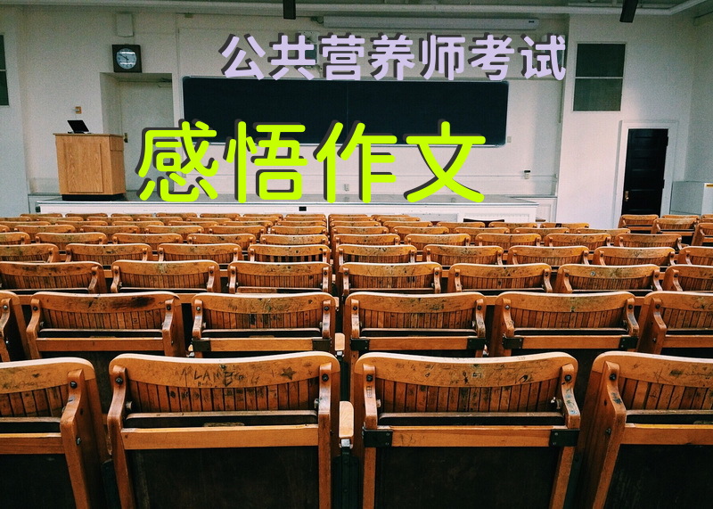 公共营养师考试感悟作文