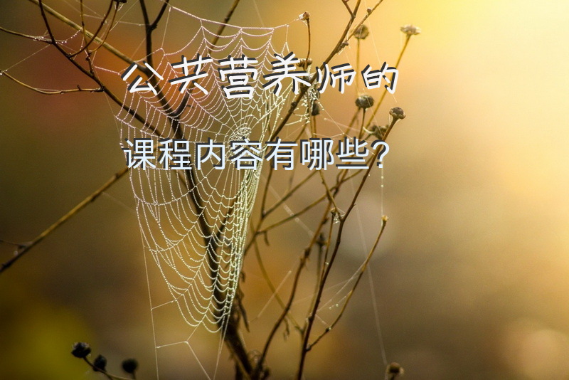 公共营养师的课程内容有哪些？