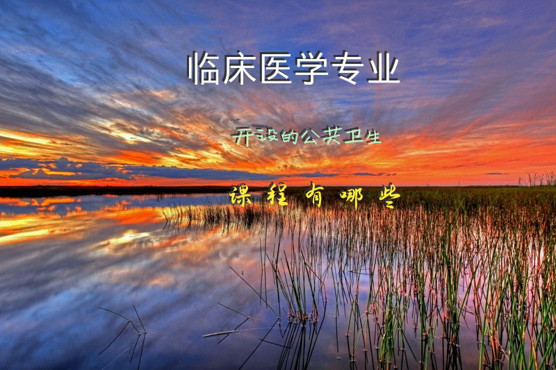 临床医学专业开设的公共卫生课程有哪些