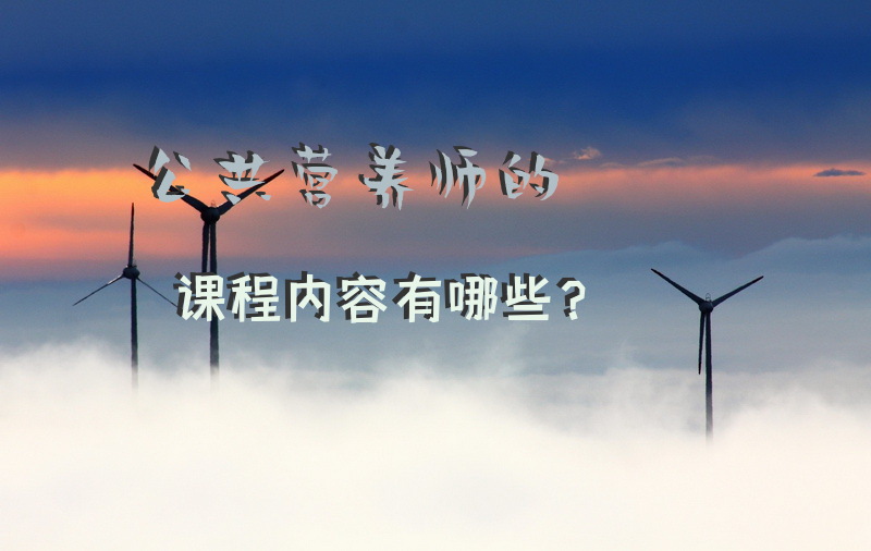 公共营养师的课程内容有哪些？
