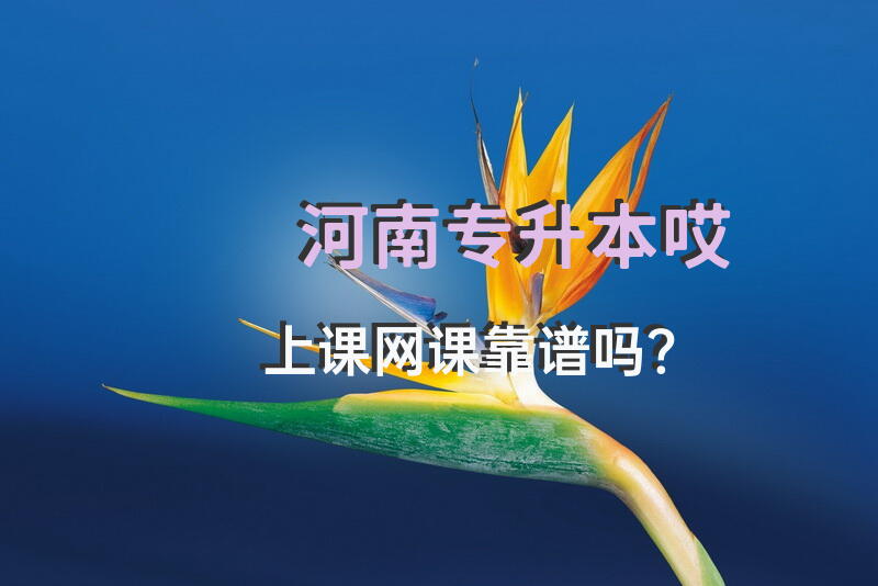 河南专升本哎上课网课靠谱吗？