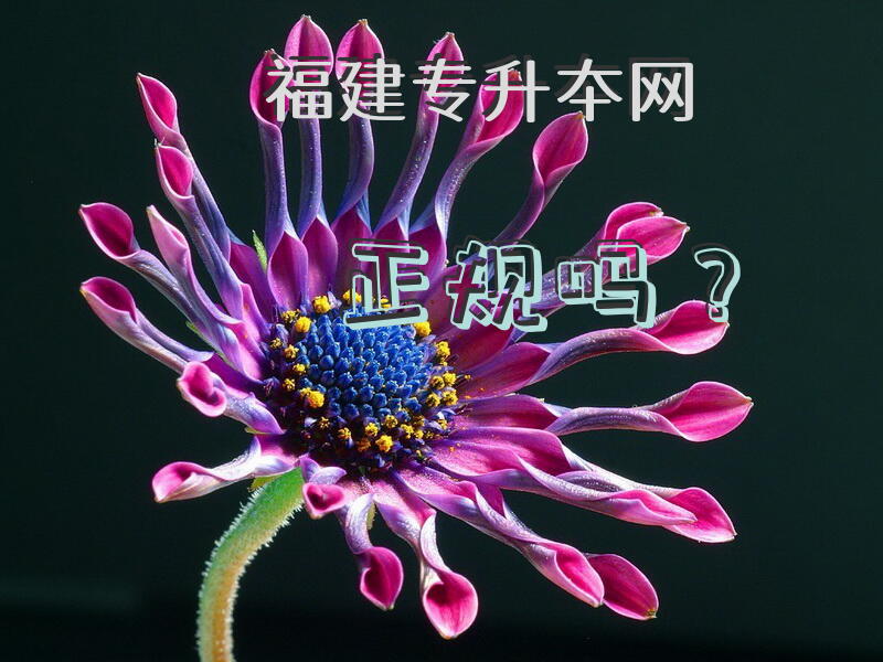 福建专升夲网正规吗？