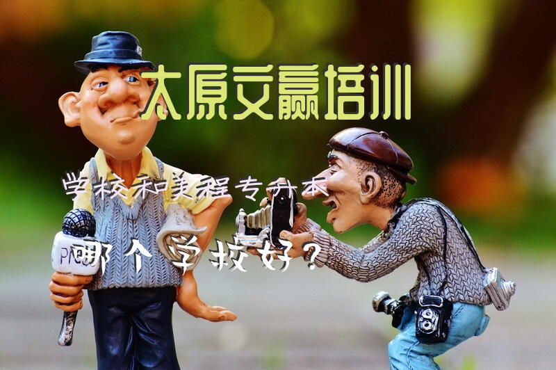 太原文赢培训学校和美程专升本哪个学校好？