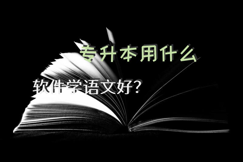 专升本用什么软件学语文好？