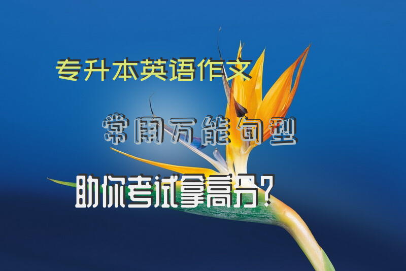 专升本英语作文常用万能句型，助你考试拿高分？