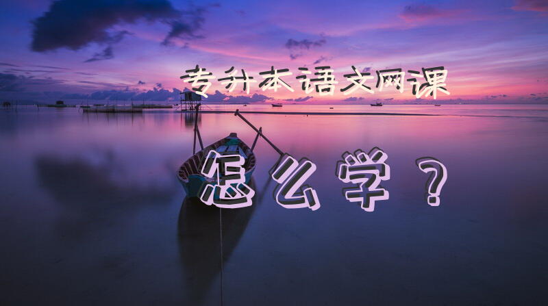 专升本语文网课怎么学？