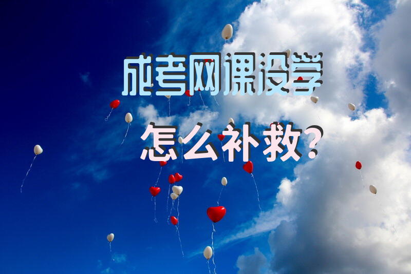 成考网课没学怎么补救？