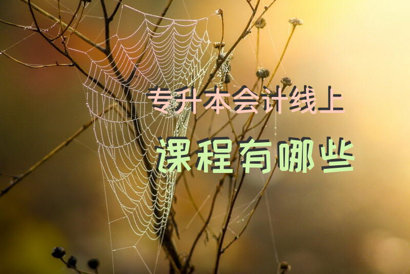 专升本会计线上课程有哪些