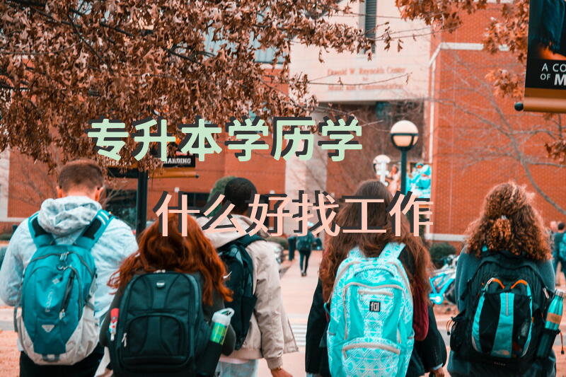 专升本学历学什么好找工作