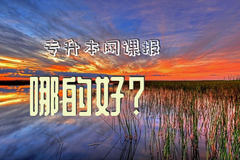 专升本网课报哪的好？