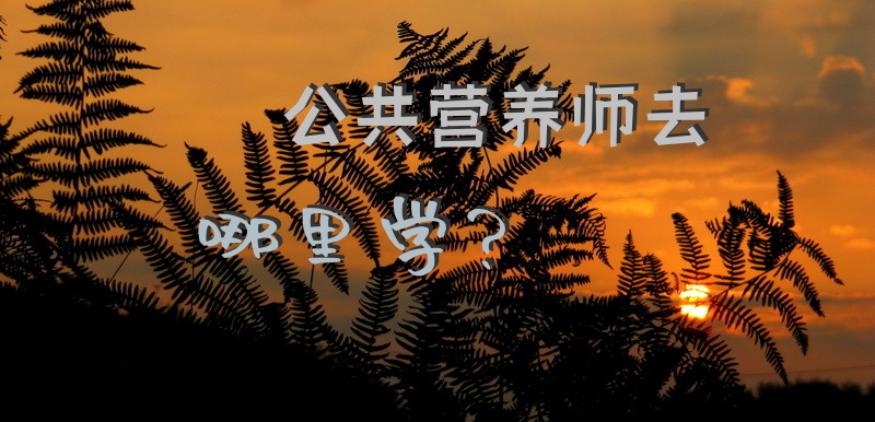 公共营养师去哪里学？