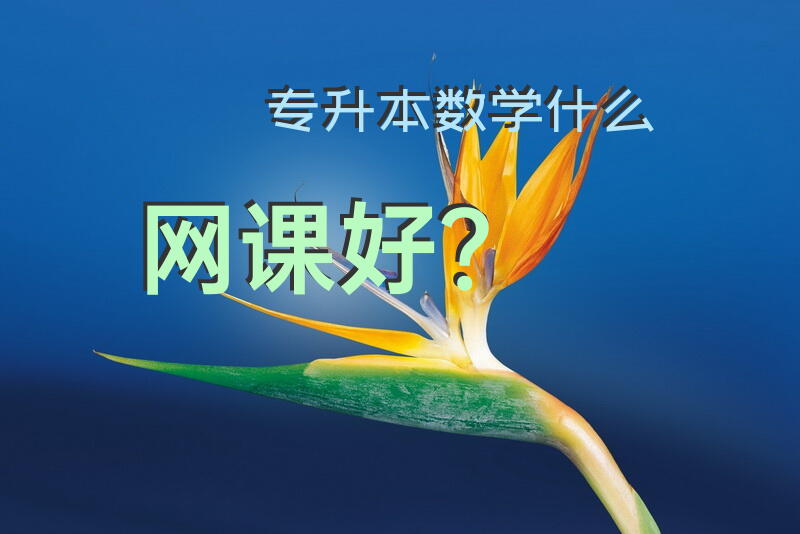 专升本数学什么网课好？