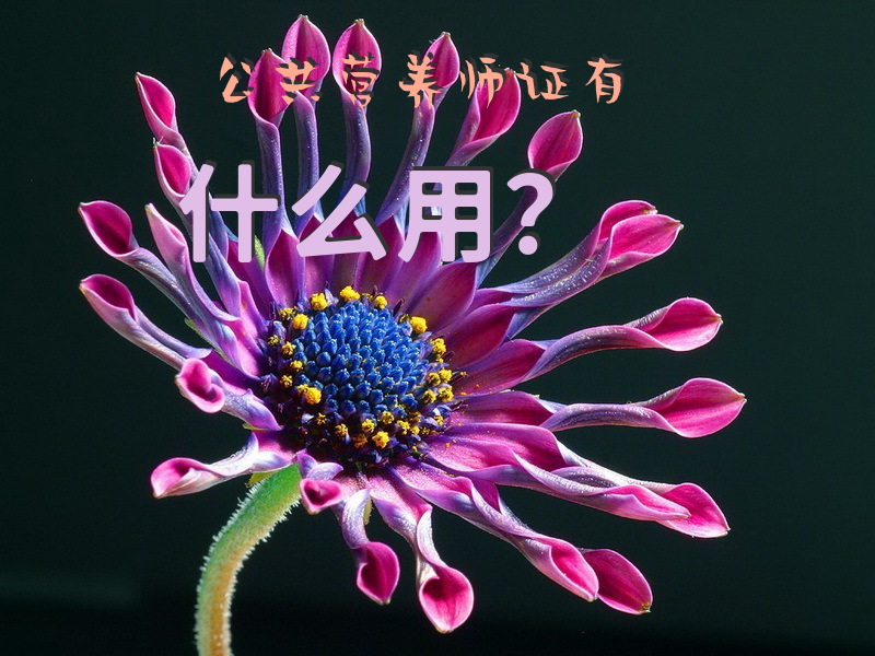 公共营养师证有什么用？