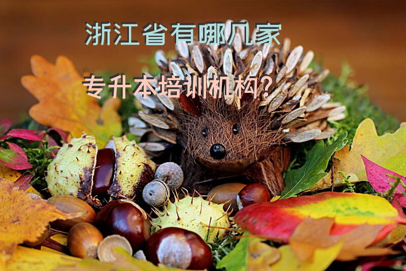 浙江省有哪几家专升本培训机构？