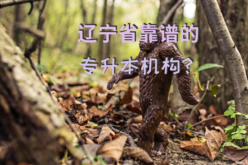 辽宁省靠谱的专升本机构？