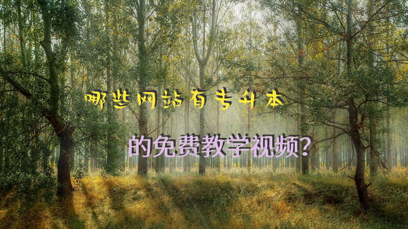 哪些网站有专升本的免费教学视频？