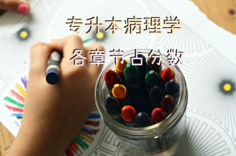 专升本病理学各章节占分数