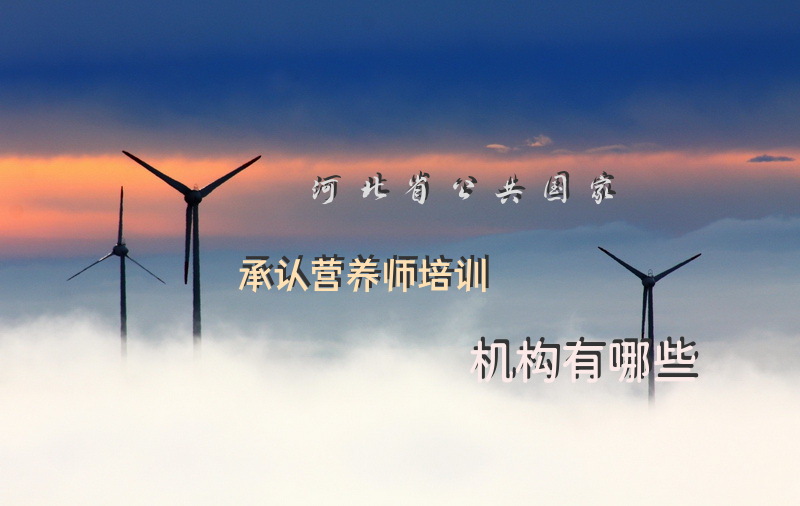 河北省公共国家承认营养师培训机构有哪些