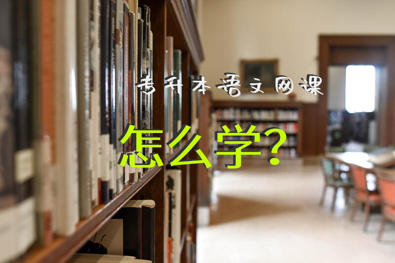 专升本语文网课怎么学？