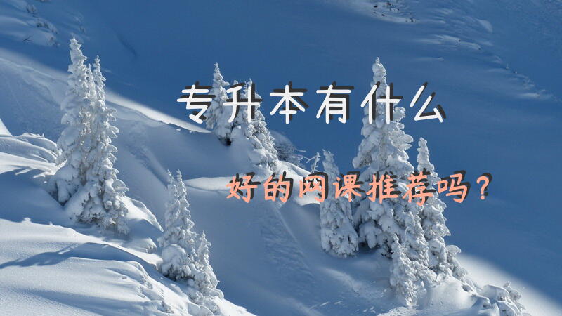 专升本有什么好的网课推荐吗？
