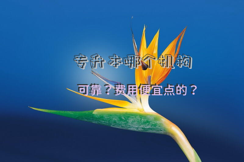 专升本哪个机构可靠？费用便宜点的？