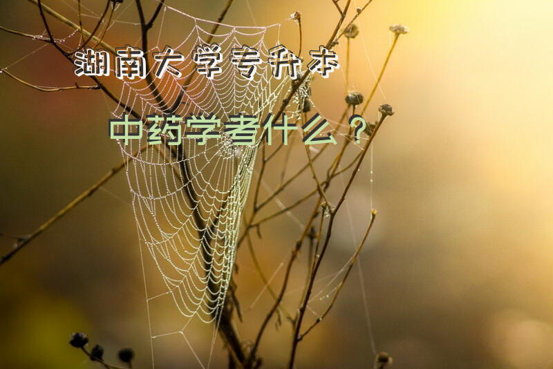 湖南大学专升本中药学考什么？