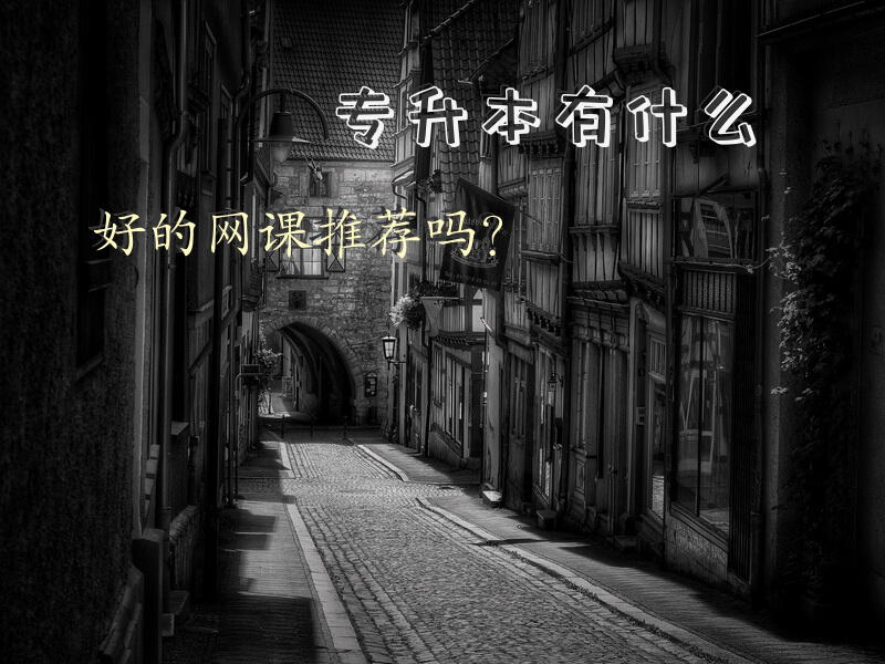 专升本有什么好的网课推荐吗？
