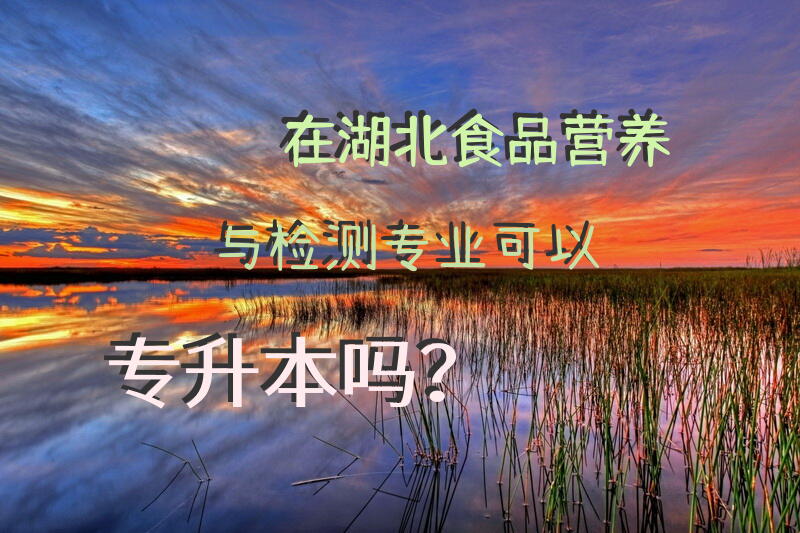 在湖北食品营养与检测专业可以专升本吗？