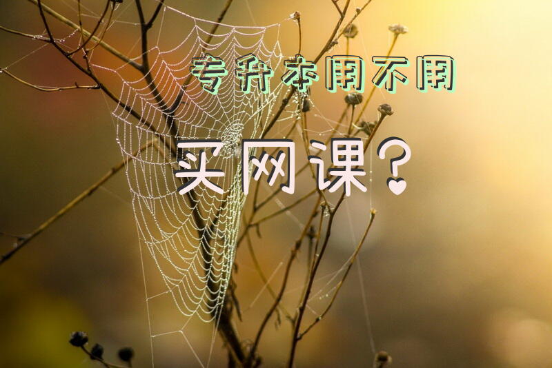 专升本用不用买网课？
