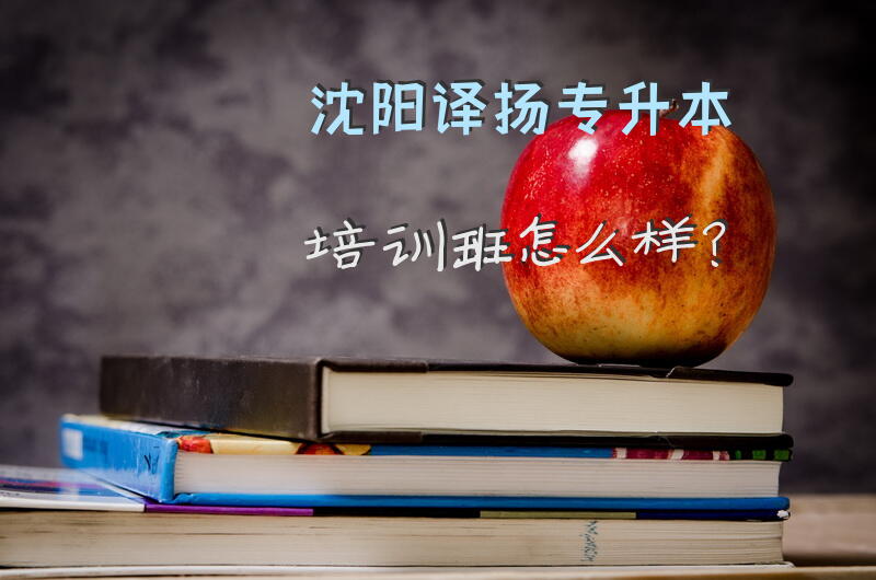 沈阳译扬专升本培训班怎么样？