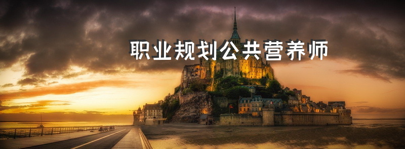 职业规划公共营养师