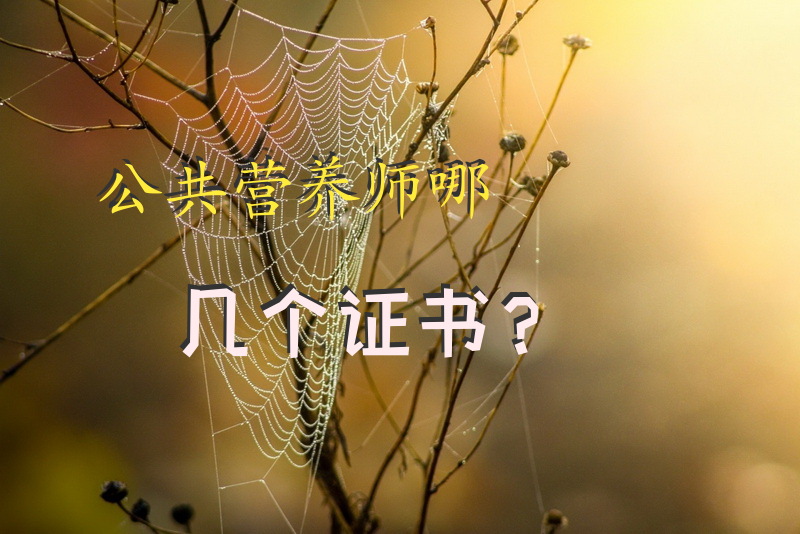 公共营养师哪几个证书？