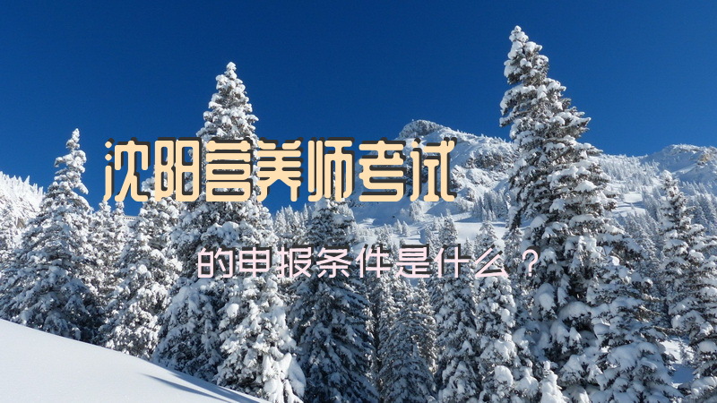 沈阳营养师考试的申报条件是什么？公共营养师三级怎么领取补贴？