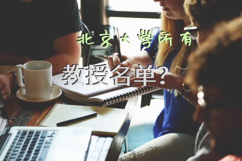 北京大学所有教授名单？
