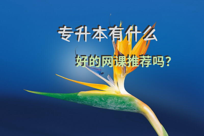 专升本有什么好的网课推荐吗？