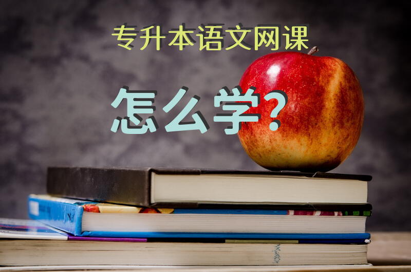 专升本语文网课怎么学？