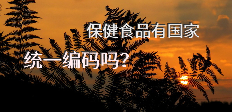 保健食品有国家统一编码吗？