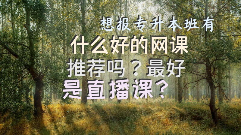 想报专升本班，有什么好的网课推荐吗？最好是直播课？