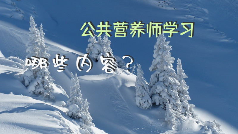 公共营养师学习哪些内容？